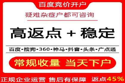 百度推广运营实战：成功案例解析